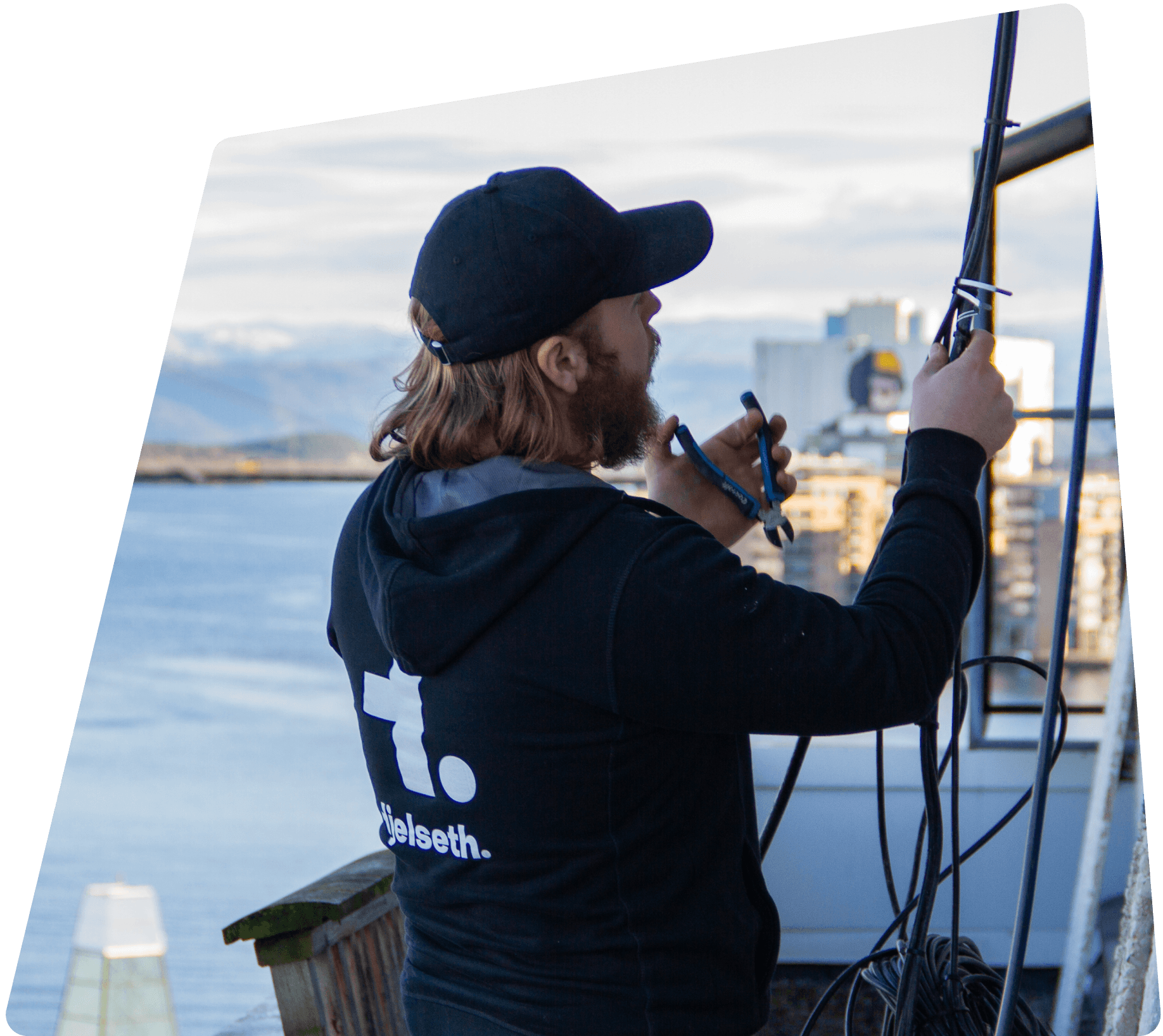 Frank med tang Frank med tang