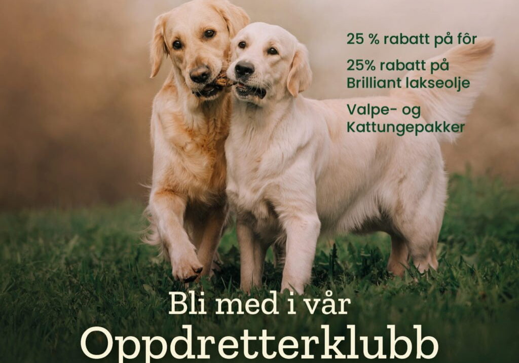 Oppdretter infofolder