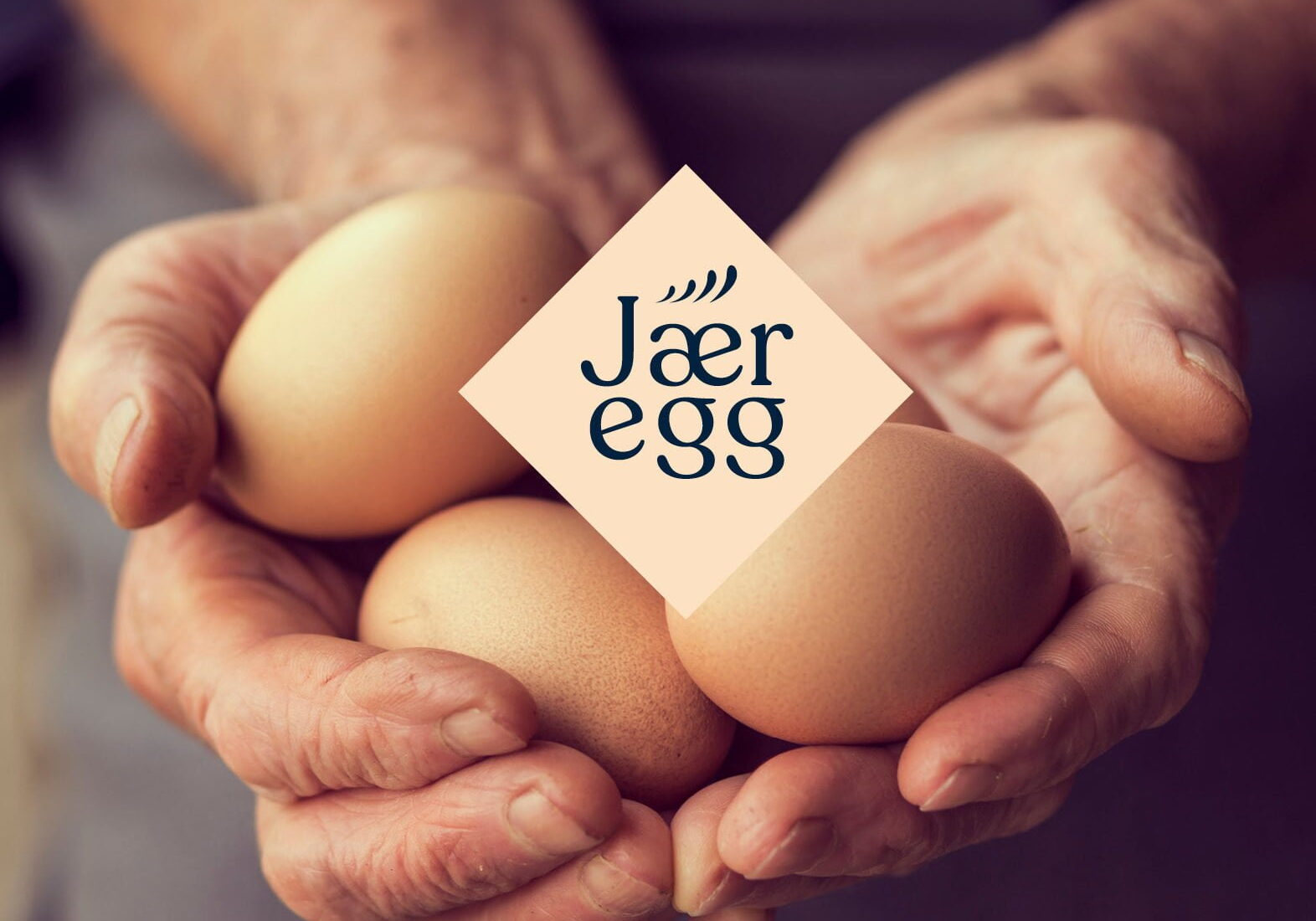 jæregglogo Jæregg